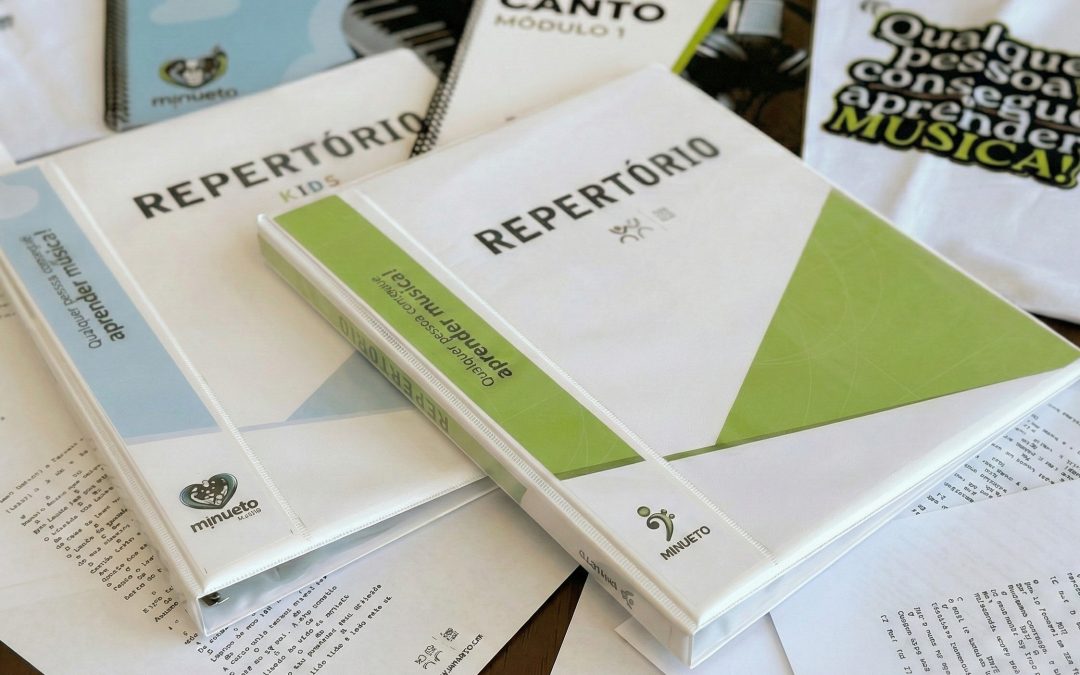 Por que decidi criar um sistema de gestão em vez de apenas entregar manuais