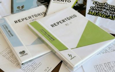Por que decidi criar um sistema de gestão em vez de apenas entregar manuais